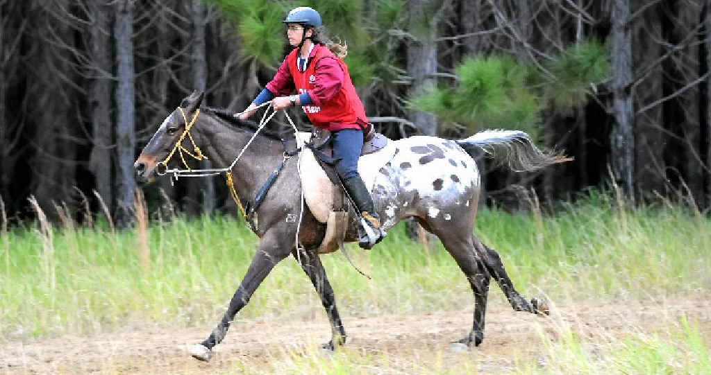 Senior Sports Star of the Year Cora Becker on her horse Bones the Wizard. Senior Sports Star of the Year Cora Becker on her horse Bones the Wizard.